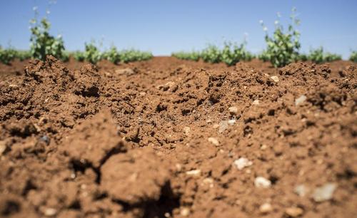 土壤水分測定儀
